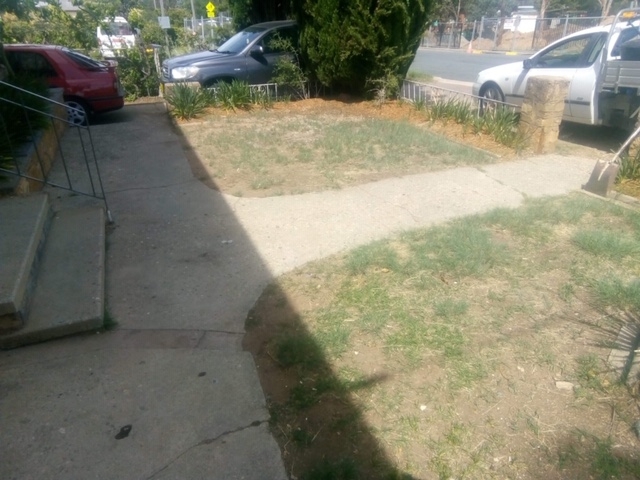 lawn before